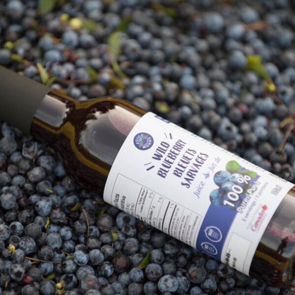 加拿大野生蓝莓汁