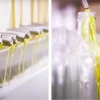 里仁紫蘇籽油